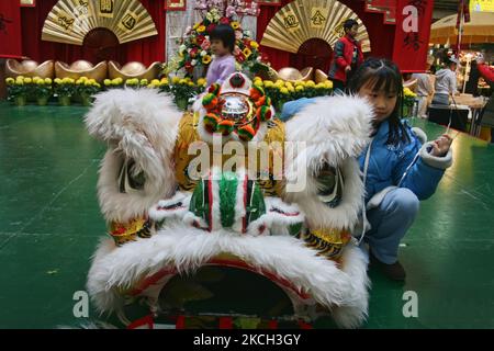 Löwenmaske während des chinesischen Neujahrsfestes in Markham, Ontario, Kanada, am 10. Februar 2008. (Foto von Creative Touch Imaging Ltd./NurPhoto) Stockfoto