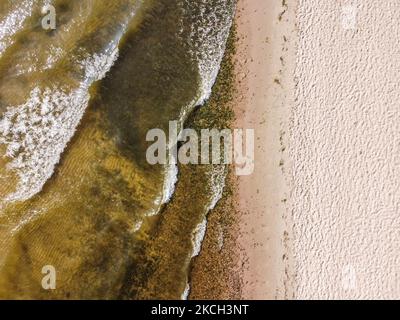 Allgemeiner Blick auf den Sandstrand der Danziger Bucht mit Algen und Algen im Wasser ist in Mechelinki, Polen, am 10. Juli 2021 zu sehen aufgrund der hohen Temperatur und der Flautas auf dem Meer, an den Ostseestränden der Danziger Bucht blühten blaugrüne Cyanobakterien-Algen. Gestank und Verschmutzung des Wassers schreckt Touristen ab. (Foto von Michal Fludra/NurPhoto) Stockfoto