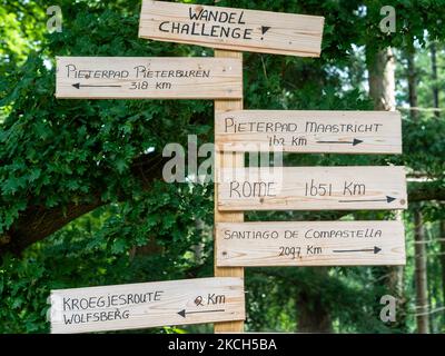In der Mitte des Waldes, in der Provinz Gelderland, am 11.. Juli 2021, markieren mehrere Schilder verschiedene Wanderrouten und ihre Kilometer. (Foto von Romy Arroyo Fernandez/NurPhoto) Stockfoto