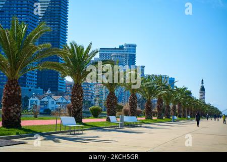 Der moderne Ferienort Georgia Batumi. Eine ordentliche Palmenreihe auf dem Damm. Stockfoto