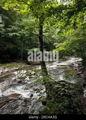 Kaaterskill Falls, Catskill Mountains, New York (Foto von Karla Ann Cote/NurPhoto) Stockfoto