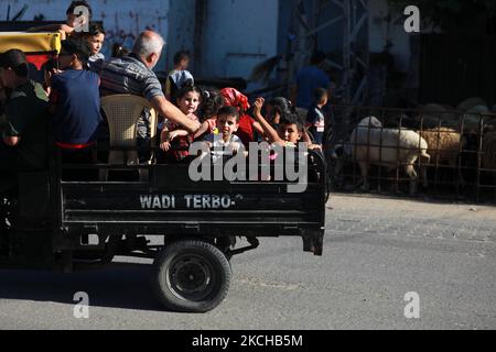 Palästinenser wählen Schafe auf einem Viehmarkt, vor Eid al-Adha, in Gaza-Stadt, am 17. Juli 2021. - Muslime auf der ganzen Welt feiern Eid al-Adha, indem sie die Gräber ihrer Angehörigen besuchen und Schafe, Ziegen, Kühe und Kamele schlachten, zum Gedenken an die Bereitschaft des Propheten Abraham, seinen Sohn Ismail auf Gottes Befehl zu opfern. (Foto von Majdi Fathi/NurPhoto) Stockfoto