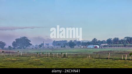 Rauch von brennenden Pflanzen in der Nähe umhüllt das Ackerland in der Provinz La Romana in der Dominikanischen Republik am 19. Dezember 2012. (Foto von Creative Touch Imaging Ltd./NurPhoto) Stockfoto