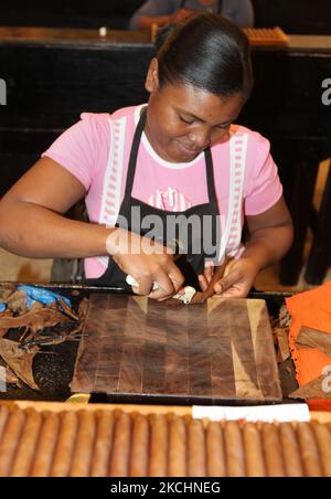 Am 19. Dezember 2012 formt der Arbeiter mit einem kleinen Werkzeug überschüssiges Tabakblatt auf einer frisch gerollten Zigarre in der Cigar-Fabrik von Laflor Dominicana in La Romana, Dominikanische Republik. (Foto von Creative Touch Imaging Ltd./NurPhoto) Stockfoto
