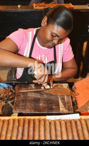 Am 19. Dezember 2012 formt der Arbeiter mit einem kleinen Werkzeug überschüssiges Tabakblatt auf einer frisch gerollten Zigarre in der Cigar-Fabrik von Laflor Dominicana in La Romana, Dominikanische Republik. (Foto von Creative Touch Imaging Ltd./NurPhoto) Stockfoto