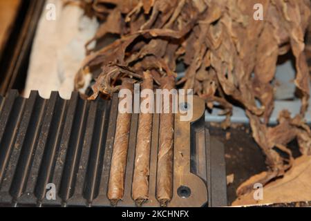 Frisch gerollte Zigarren in einer Zigarrenpresse zusammen mit Tabakblättern auf der Werkbank einer Zigarrenwalze in der Laflor Dominicana Zigarrenfabrik in La Romana, Dominikanische Republik, am 19. Dezember 2012. (Foto von Creative Touch Imaging Ltd./NurPhoto) Stockfoto