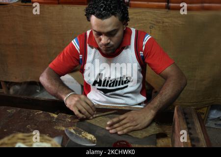 Arbeiter sitzt auf einer Werkbank, während er in einer Zigarrenfabrik in Puerto Plata, Dominikanische Republik, am 21. Dezember 2010 Zigarren mit losen Tabakblättern in der Hand rollt. (Foto von Creative Touch Imaging Ltd./NurPhoto) Stockfoto