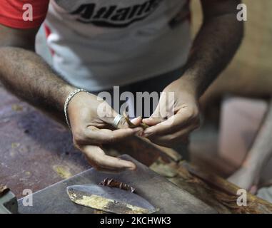 Arbeiter sitzt auf einer Werkbank, während er in einer Zigarrenfabrik in Puerto Plata, Dominikanische Republik, am 21. Dezember 2010 Zigarren mit losen Tabakblättern in der Hand rollt. (Foto von Creative Touch Imaging Ltd./NurPhoto) Stockfoto