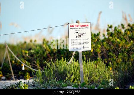 Schild mit Warnung über Nistgebiet von Seevögeln am Strand mit kleinen Sanddünen und grasbewachsenen Vegetation an warmen Sommertagen Stockfoto