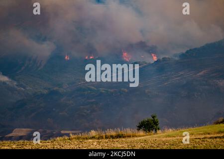 Der Difesa Grande Wald in Gravina in Apulien brennt am 2. August 2021 mehrere Tage lang. Das Feuer, das den Difesa Grande Wald in Gravina in Apulien mehr als fünf Tage lang heimgesucht hat, zeigt keine Anzeichen von Ausgehen. Es gibt immer wieder zahlreiche Ausbrüche, die sich, unterstützt durch den Wind und die große Hitze, die das Gebiet trifft, weiter ernähren und Hektar und Hektar Vegetation zerstören. Die Flammen, die das Refuge-Erfrischungsgebiet erreichten, passierten auch den Asphaltstreifen der Hauptstraße, die durch den Wald führt, um sich in die Gebiete Bianchini, Lama Cold, Campanale und Marassano auszudehnen. Es gibt auch Befürchtungen für Stockfoto