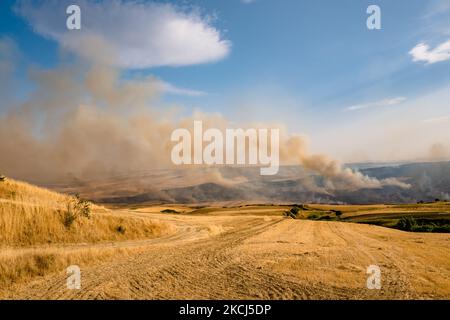 Der Difesa Grande Wald in Gravina in Apulien brennt am 2. August 2021 mehrere Tage lang. Das Feuer, das den Difesa Grande Wald in Gravina in Apulien mehr als fünf Tage lang heimgesucht hat, zeigt keine Anzeichen von Ausgehen. Es gibt immer wieder zahlreiche Ausbrüche, die sich, unterstützt durch den Wind und die große Hitze, die das Gebiet trifft, weiter ernähren und Hektar und Hektar Vegetation zerstören. Die Flammen, die das Refuge-Erfrischungsgebiet erreichten, passierten auch den Asphaltstreifen der Hauptstraße, die durch den Wald führt, um sich in die Gebiete Bianchini, Lama Cold, Campanale und Marassano auszudehnen. Es gibt auch Befürchtungen für Stockfoto