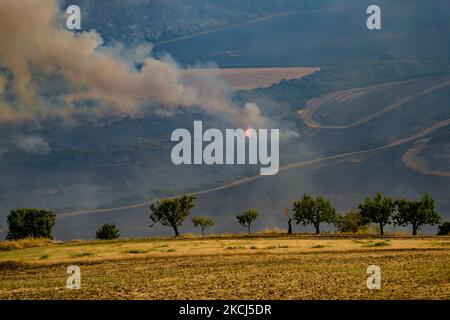 Der Difesa Grande Wald in Gravina in Apulien brennt am 2. August 2021 mehrere Tage lang. Das Feuer, das den Difesa Grande Wald in Gravina in Apulien mehr als fünf Tage lang heimgesucht hat, zeigt keine Anzeichen von Ausgehen. Es gibt immer wieder zahlreiche Ausbrüche, die sich, unterstützt durch den Wind und die große Hitze, die das Gebiet trifft, weiter ernähren und Hektar und Hektar Vegetation zerstören. Die Flammen, die das Refuge-Erfrischungsgebiet erreichten, passierten auch den Asphaltstreifen der Hauptstraße, die durch den Wald führt, um sich in die Gebiete Bianchini, Lama Cold, Campanale und Marassano auszudehnen. Es gibt auch Befürchtungen für Stockfoto