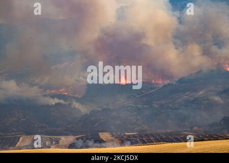 Der Difesa Grande Wald in Gravina in Apulien brennt am 2. August 2021 mehrere Tage lang. Das Feuer, das den Difesa Grande Wald in Gravina in Apulien mehr als fünf Tage lang heimgesucht hat, zeigt keine Anzeichen von Ausgehen. Es gibt immer wieder zahlreiche Ausbrüche, die sich, unterstützt durch den Wind und die große Hitze, die das Gebiet trifft, weiter ernähren und Hektar und Hektar Vegetation zerstören. Die Flammen, die das Refuge-Erfrischungsgebiet erreichten, passierten auch den Asphaltstreifen der Hauptstraße, die durch den Wald führt, um sich in die Gebiete Bianchini, Lama Cold, Campanale und Marassano auszudehnen. Es gibt auch Befürchtungen für Stockfoto