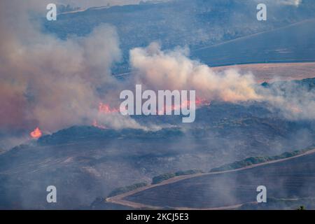 Der Difesa Grande Wald in Gravina in Apulien brennt am 2. August 2021 mehrere Tage lang. Das Feuer, das den Difesa Grande Wald in Gravina in Apulien mehr als fünf Tage lang heimgesucht hat, zeigt keine Anzeichen von Ausgehen. Es gibt immer wieder zahlreiche Ausbrüche, die sich, unterstützt durch den Wind und die große Hitze, die das Gebiet trifft, weiter ernähren und Hektar und Hektar Vegetation zerstören. Die Flammen, die das Refuge-Erfrischungsgebiet erreichten, passierten auch den Asphaltstreifen der Hauptstraße, die durch den Wald führt, um sich in die Gebiete Bianchini, Lama Cold, Campanale und Marassano auszudehnen. Es gibt auch Befürchtungen für Stockfoto