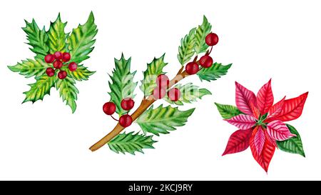 Holly Zweige mit Beeren und weihnachten poinsettia Aquarell Urlaub Set. Clipart von Weihnachtselementen zum Dekorieren von Karten und Einladungen. Stockfoto