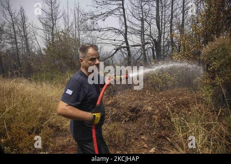 Am 11. August 2021 setzen Feuerwehrleute im Dorf Galatsonas auf der griechischen Insel Evia (Euboea) ein Waldfeuer fort. - Fast 100.000 Hektar Wald- und Ackerland haben in weniger als zwei Wochen in Griechenland bei der schlimmsten Waldbrandwelle seit 2007 verbrannt, sagte das Europäische Waldbrandinformationssystem (EFFIS) am Mittwoch. Stockfoto