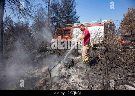 Feuerwehrleute löschen kleine Flammen im Wald bei Agia Anna. Die Folgen der Brände in Griechenland, während im Wald immer noch kleine Flammen brennen. In Griechenland kam es zu einer großen Umweltkatastrophe. Wald, Pinien, Olivenhaine, Unternehmen, Hotels, Häuser, Fahrzeuge und Tiere wurden verbrannt. Das Feuer war nach einem nächtlichen Regen vorbei, während in den vergangenen Tagen griechische Feuerwehrleute, lokale Freiwillige, ausländische Feuerwehrleute, Flugzeuge und Hubschrauber, wo die Kämpfe um das Waldfeuer auf der griechischen Insel Evia (Euboea) zu löschen - fast 100.000 Hektar Wald- und Ackerland haben burne Stockfoto