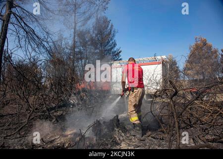 Feuerwehrleute löschen kleine Flammen im Wald bei Agia Anna. Die Folgen der Brände in Griechenland, während im Wald immer noch kleine Flammen brennen. In Griechenland kam es zu einer großen Umweltkatastrophe. Wald, Pinien, Olivenhaine, Unternehmen, Hotels, Häuser, Fahrzeuge und Tiere wurden verbrannt. Das Feuer war nach einem nächtlichen Regen vorbei, während in den vergangenen Tagen griechische Feuerwehrleute, lokale Freiwillige, ausländische Feuerwehrleute, Flugzeuge und Hubschrauber, wo die Kämpfe um das Waldfeuer auf der griechischen Insel Evia (Euboea) zu löschen - fast 100.000 Hektar Wald- und Ackerland haben burne Stockfoto