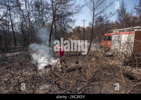 Feuerwehrleute löschen kleine Flammen im Wald bei Agia Anna. Die Folgen der Brände in Griechenland, während im Wald immer noch kleine Flammen brennen. In Griechenland kam es zu einer großen Umweltkatastrophe. Wald, Pinien, Olivenhaine, Unternehmen, Hotels, Häuser, Fahrzeuge und Tiere wurden verbrannt. Das Feuer war nach einem nächtlichen Regen vorbei, während in den vergangenen Tagen griechische Feuerwehrleute, lokale Freiwillige, ausländische Feuerwehrleute, Flugzeuge und Hubschrauber, wo die Kämpfe um das Waldfeuer auf der griechischen Insel Evia (Euboea) zu löschen - fast 100.000 Hektar Wald- und Ackerland haben burne Stockfoto