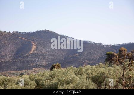 Der Blick auf den verbrannten Berg. Die Folgen der Brände in Griechenland, während im Wald immer noch kleine Flammen brennen. In Griechenland kam es zu einer großen Umweltkatastrophe. Wald, Pinien, Olivenhaine, Unternehmen, Hotels, Häuser, Fahrzeuge und Tiere wurden verbrannt. Das Feuer war nach einem nächtlichen Regen vorbei, während die griechischen Feuerwehrleute, lokale Freiwillige, ausländische Feuerwehrleute, Flugzeuge und Hubschrauber kämpften um das Waldfeuer auf der griechischen Insel Evia (Euboea) - in weniger als zwei Wochen sind in Griechenland fast 100.000 Hektar Wald- und Ackerland verbrannt Stockfoto