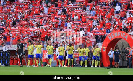 Benfica-Fans in Mannschaften treten beim Liga-Bwin-Spiel zwischen SL Benfica und FC Arouca am 14. August 2021 im Estadio da Luz in Lissabon, Portugal, auf. (Foto von Paulo Nascimento/NurPhoto) Stockfoto