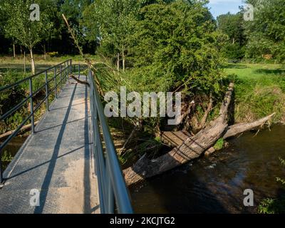 Gulpen ist eine der Städte im Süden von Limburg in den Niederlanden, die am 11.. August 2021 von den Überschwemmungen betroffen war. (Foto von Romy Arroyo Fernandez/NurPhoto) Stockfoto