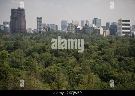 Am 17. August 2021 hing ein leichter Dunst von Luftverschmutzung über Mexiko-Stadt, Mexiko, und verdunkelt die städtische Landschaft und die vielen Wolkenkratzer der Stadt, die hier abgebildet sind und über dem Wald von Chapultepec emporragen. (Foto von Diego Cupolo/NurPhoto) Stockfoto