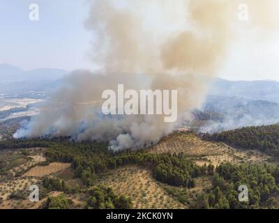 Panoramablick aus der Vogelperspektive von einer Drohne auf das Waldfeuer, das Evia Island brennte und Kiefernwälder, Olivenhaine und Häuser zerstörte. Die größte Umweltkatastrophe im Land im Zusammenhang mit dem Klimawandel nach einer langen Hitzewelle. Am 6. August 2021 bekämpfen Feuerwehrleute das Feuer in der Nähe der Dörfer Dafni und Kourkouli auf der griechischen Insel Evia (Euboea). (Foto von Nicolas Economou/NurPhoto) Stockfoto