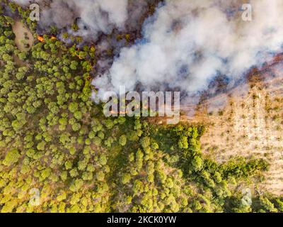 Panoramablick aus der Vogelperspektive von einer Drohne auf das Waldfeuer, das Evia Island brennte und Kiefernwälder, Olivenhaine und Häuser zerstörte. Die größte Umweltkatastrophe im Land im Zusammenhang mit dem Klimawandel nach einer langen Hitzewelle. Am 6. August 2021 bekämpfen Feuerwehrleute das Feuer in der Nähe der Dörfer Dafni und Kourkouli auf der griechischen Insel Evia (Euboea). (Foto von Nicolas Economou/NurPhoto) Stockfoto