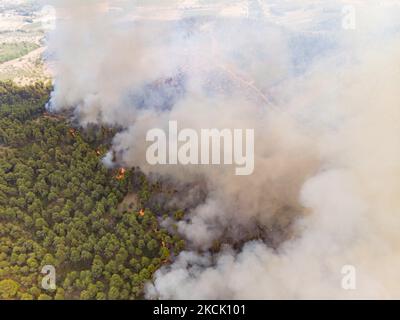 Panoramablick aus der Vogelperspektive von einer Drohne auf das Waldfeuer, das Evia Island brennte und Kiefernwälder, Olivenhaine und Häuser zerstörte. Die größte Umweltkatastrophe im Land im Zusammenhang mit dem Klimawandel nach einer langen Hitzewelle. Am 6. August 2021 bekämpfen Feuerwehrleute das Feuer in der Nähe der Dörfer Dafni und Kourkouli auf der griechischen Insel Evia (Euboea). (Foto von Nicolas Economou/NurPhoto) Stockfoto