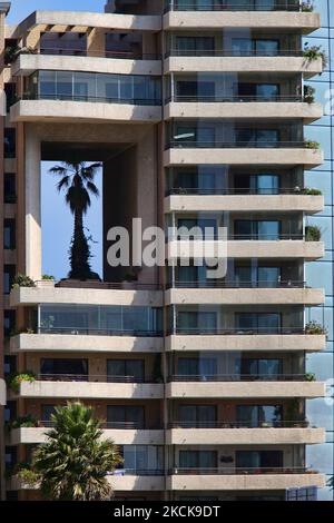 Palme, die am 10. März 2010 zwischen den Etagen eines Wohnhauses in Vina Del Mar, Chile, wächst. (Foto von Creative Touch Imaging Ltd./NurPhoto) Stockfoto