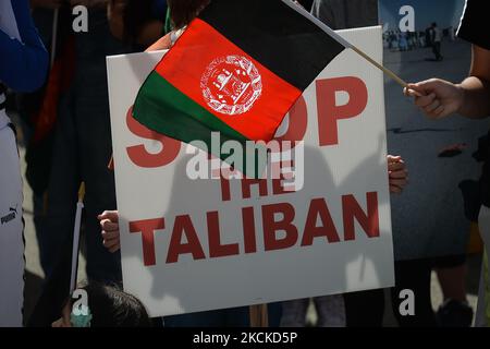 Ein Protestler hält ein Plakat mit der Aufschrift „Stoppt die Taliban“. Mitglieder der lokalen afghanischen Diaspora, Aktivisten und lokale Unterstützer sahen vor dem Alberta Legislature Building während der BEENDIGUNG DES TÖTENS VON AFGHANEN! Protest, der heute von der Globalen Friedensbewegung für Afghanistan organisiert wurde. Samstag, 28. August 2021, in Edmonton, Alberta, Kanada. (Foto von Artur Widak/NurPhoto) Stockfoto