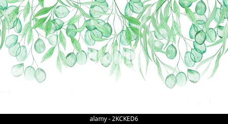 Grüner transparenter Eukalyptus hinterlässt ein nahtloses horizontales Muster. Banner mit endlosem Laub. Hintergrund für Einladungs- und Grußkarten. Hochzeit mit Blumenmuster Stockfoto