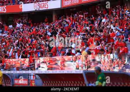 SLB-Unterstützern während des Liga-Bwin-Spiels zwischen SL Benfica und CD tondela im Estadio da Luz am 29. August 2021 in Lissabon, Portugal. (Foto von Paulo Nascimento/NurPhoto) Stockfoto