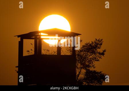 Ein Wachturm für Vogelbeobachter und Besucher des Sees mit der Sonne, die gerade über dem Horizont erscheint. Magische Stunde Sommer Sonnenaufgang mit warmen Farben des Himmels und der Sonne über Kerkini mit Vögeln, Pferden, lokalen Fischern als Silhouetten gefischt, am See Nationalpark in Serres Region in Nordgriechenland. Der künstliche Kerkini-See ist ein einzigartiges Feuchtgebiet, ein Nationalpark und durch die Ramsar-Konvention als Feuchtgebiet mit Tausenden von Vögeln geschützt, darunter seltene und geschützte Wälder am Flussufer, da sich wichtige Hydrobiosphären entwickeln, die von großer internationaler Bedeutung und Akzeptanz sind, t Stockfoto