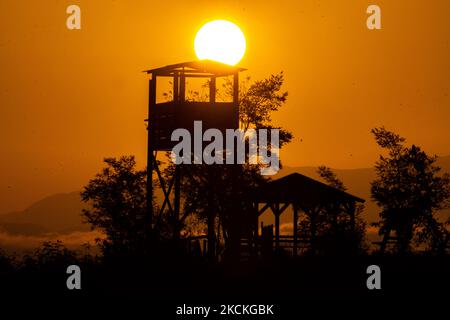 Ein Wachturm für Vogelbeobachter und Besucher des Sees mit der Sonne, die gerade über dem Horizont erscheint. Magische Stunde Sommer Sonnenaufgang mit warmen Farben des Himmels und der Sonne über Kerkini mit Vögeln, Pferden, lokalen Fischern als Silhouetten gefischt, am See Nationalpark in Serres Region in Nordgriechenland. Der künstliche Kerkini-See ist ein einzigartiges Feuchtgebiet, ein Nationalpark und durch die Ramsar-Konvention als Feuchtgebiet mit Tausenden von Vögeln geschützt, darunter seltene und geschützte Wälder am Flussufer, da sich wichtige Hydrobiosphären entwickeln, die von großer internationaler Bedeutung und Akzeptanz sind, t Stockfoto