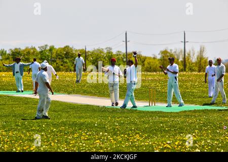 Indische und pakistanische Männer spielen am 16. Mai 2010 in Whitchurch-Stouffville, Ontario, Kanada, ein freundliches Cricket-Spiel gegen Indien gegen Pakistan. Selbst im Ausland bringt die Rivalität Indiens gegen Pakistan eine riesige Menge von Unterstützern für jede Seite hervor. (Foto von Creative Touch Imaging Ltd./NurPhoto) Stockfoto