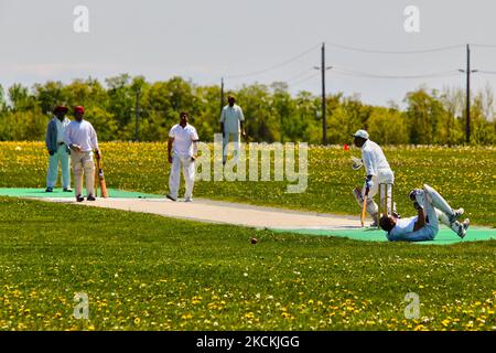 Indische und pakistanische Männer spielen am 16. Mai 2010 in Whitchurch-Stouffville, Ontario, Kanada, ein freundliches Cricket-Spiel gegen Indien gegen Pakistan. Selbst im Ausland bringt die Rivalität Indiens gegen Pakistan eine riesige Menge von Unterstützern für jede Seite hervor. (Foto von Creative Touch Imaging Ltd./NurPhoto) Stockfoto