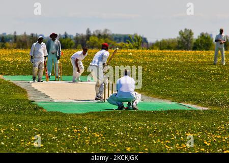 Indische und pakistanische Männer spielen am 16. Mai 2010 in Whitchurch-Stouffville, Ontario, Kanada, ein freundliches Cricket-Spiel gegen Indien gegen Pakistan. Selbst im Ausland bringt die Rivalität Indiens gegen Pakistan eine riesige Menge von Unterstützern für jede Seite hervor. (Foto von Creative Touch Imaging Ltd./NurPhoto) Stockfoto