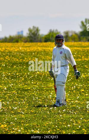 Indische und pakistanische Männer spielen am 16. Mai 2010 in Whitchurch-Stouffville, Ontario, Kanada, ein freundliches Cricket-Spiel gegen Indien gegen Pakistan. Selbst im Ausland bringt die Rivalität Indiens gegen Pakistan eine riesige Menge von Unterstützern für jede Seite hervor. (Foto von Creative Touch Imaging Ltd./NurPhoto) Stockfoto