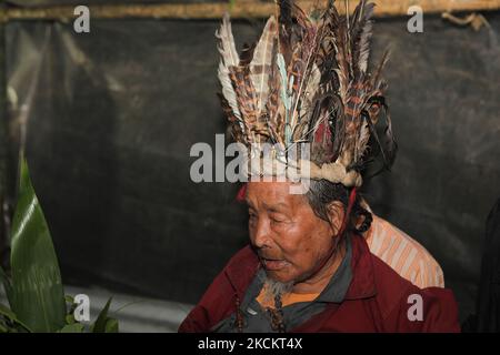 Ein 90-jähriger Lepcha-Bomthing (Lepcha-Priester), der einen gefiederten Hut trägt, singt am 05. Juni 2010 während einer Tieropferzeremonie in einem kleinen Dorf tief im Dschungel in Sikkim, Indien, Gebete, um böse Geister zu besänftigen. Viele Dorfbewohner sind ohne jegliche Unterstützung gestorben, deshalb haben die Dörfer von Lepcha die Bombe geschickt, um die bösen Geister zu beseitigen, die im Dorf zu Tode kamen. Diese Zeremonie soll das Dorf 180 Jahre lang schützen, nachdem es vorgeformt wurde. (Foto von Creative Touch Imaging Ltd./NurPhoto) Stockfoto