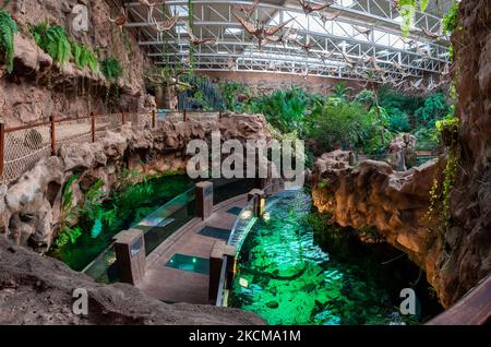 Weite Sicht auf den Eingang in den Dschungel im Aquarium in Las Palmas auf Gran Canaria Stockfoto