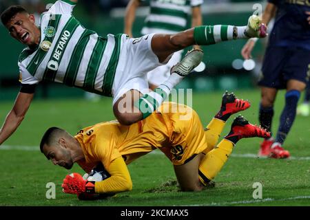 Matheus Nunes von Sporting CP (TOP) kämpft am 11. September 2021 beim Fußballspiel der Portugiesischen Liga zwischen Sporting CP und FC Porto im Jose Alvalade Stadion in Lissabon, Portugal, um den Ball mit dem Torwart des FC Porto Diogo Costa. (Foto von Pedro FiÃºza/NurPhoto) Stockfoto