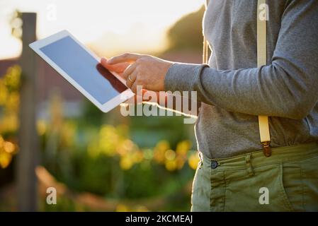 Fortschrittliche Technologie für den fortgeschrittenen Gärtner. Ein Mann, der ein digitales Tablet benutzt, während er im Garten arbeitet. Stockfoto