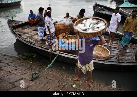 Die Arbeitskraft entlädt Hilsha-Fische aus einem Boot, um sie am 15. September 2021 auf einem Großhandelsmarkt am Ufer des Flusses Buriganga in Dhaka, Bangladesch, zu liefern. (Foto von Syed Mahamudur Rahman/NurPhoto) Stockfoto