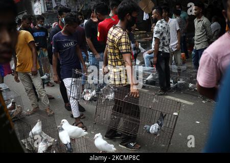 Am 17. September 2021 warten Händler auf Kunden auf einem wöchentlichen Taubenmarkt in Dhaka, Bangladesch. (Foto von Syed Mahamudur Rahman/NurPhoto) Stockfoto