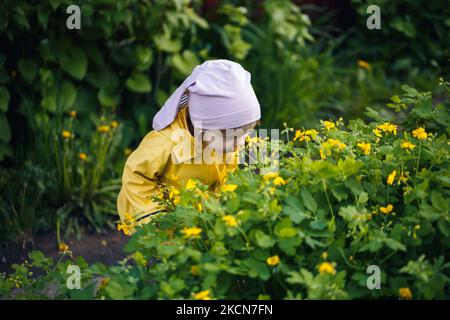 Nettes Mädchen in einer gelben Jacke sammelt Blumen auf einer Wiese. Ein Kind stand im frischen grünen Gras zwischen den Frühlingsblumen. Ein kleines Kind macht eine Bouq Stockfoto