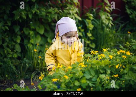 Nettes Mädchen in einer gelben Jacke sammelt Blumen auf einer Wiese. Ein Kind stand im frischen grünen Gras zwischen den Frühlingsblumen. Ein kleines Kind macht eine Bouq Stockfoto