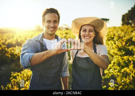 Unsere Liebe wächst jeden Tag wie unsere Ernte. Ein junges Paar hält ihre Hände zusammen und macht mit ihren Ernten im Hintergrund eine Herzform. Stockfoto