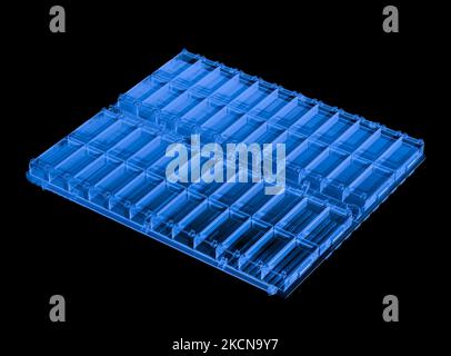 3D Rendering Röntgen-Elektroauto-Batterie oder Pack von Batteriezellen-Modul auf schwarzem Hintergrund isoliert Stockfoto